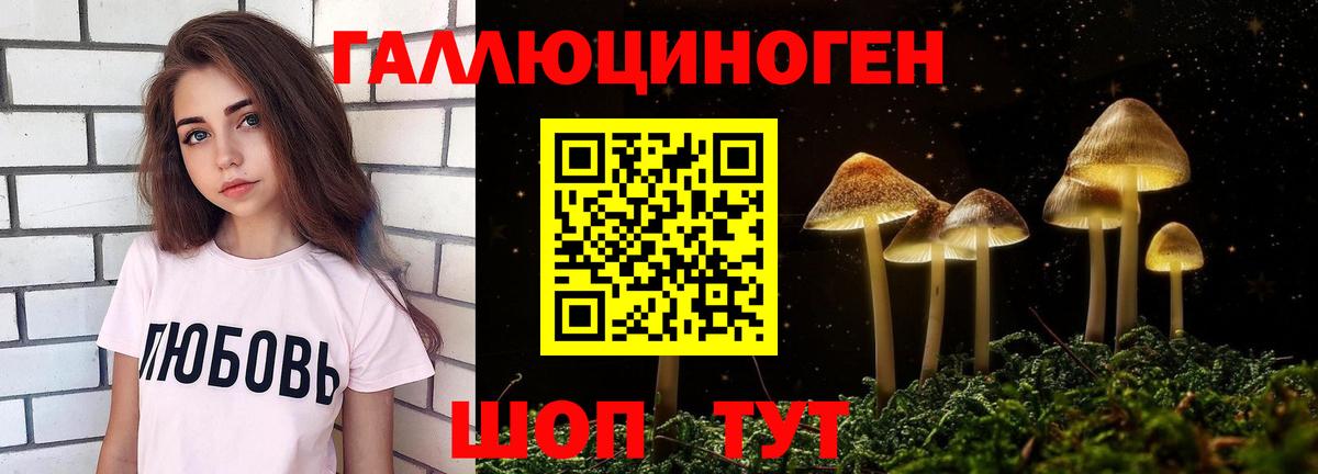 Ульяновск  Псилоцибиновые грибы GOLDEN TEACHER  Вход с VPN  Галлюциногенные грибы Psilocybine cubensis 